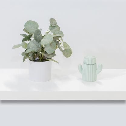 Custom 1.5″ Thick Floating Shelf – White Laminate Shelf with Premium Edgebanding