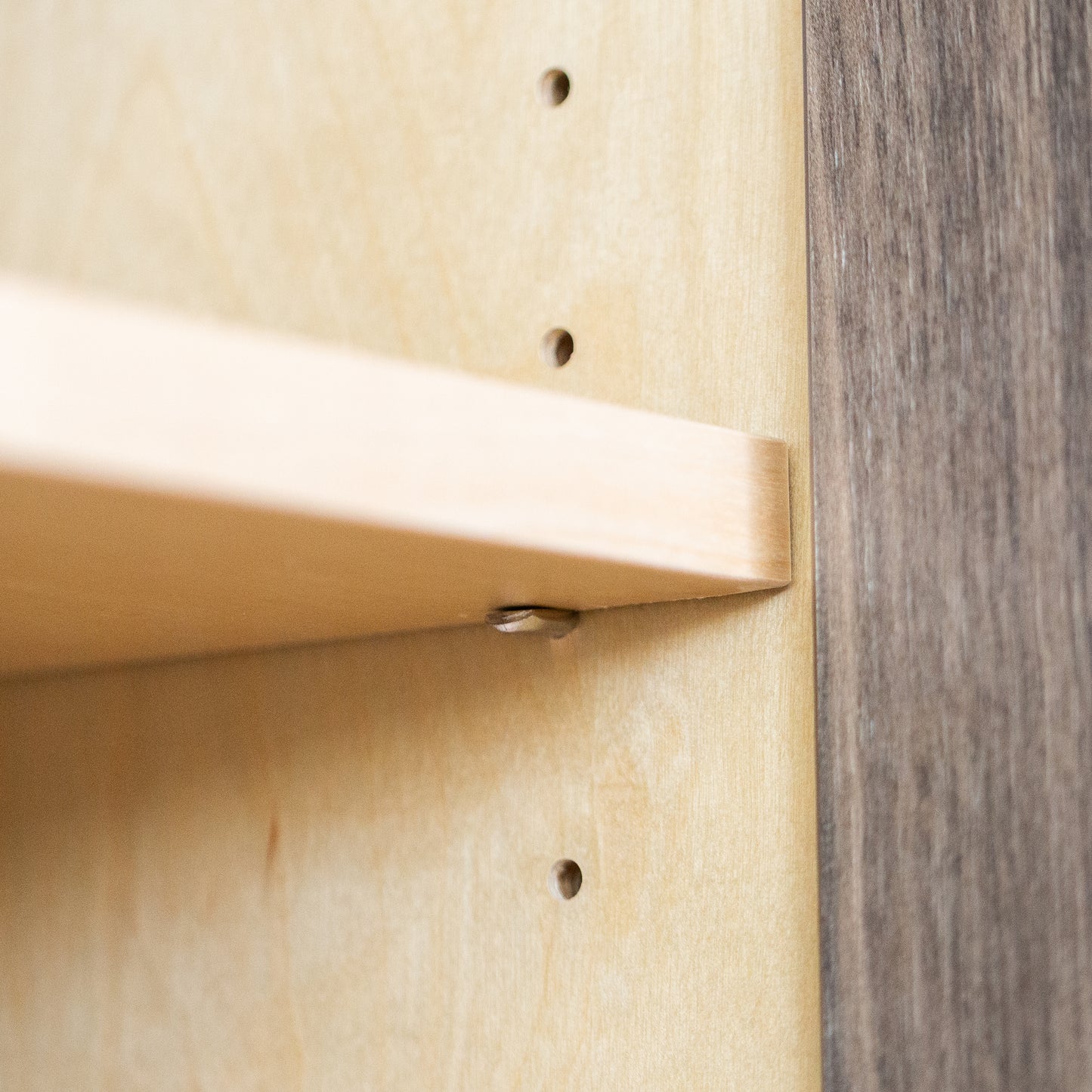 5mm Nickel Shelf Pins - Spoon Style Pegs for Cabinets & Bookcases (Bulk Available)